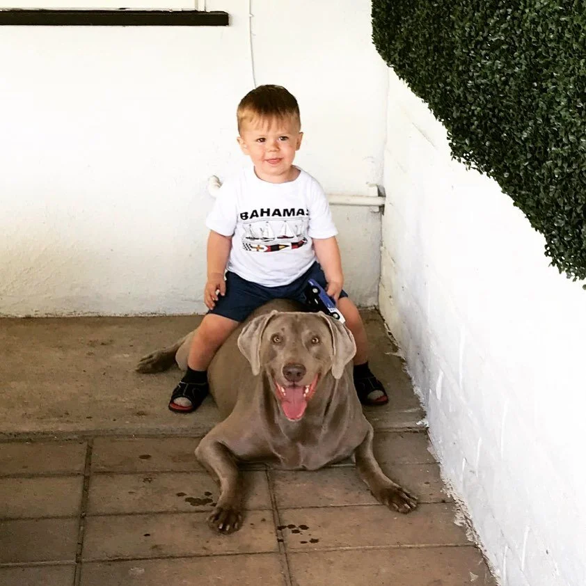 &ldquo;The world would be nothing without humans but the man would be nothing without his horse&rdquo;