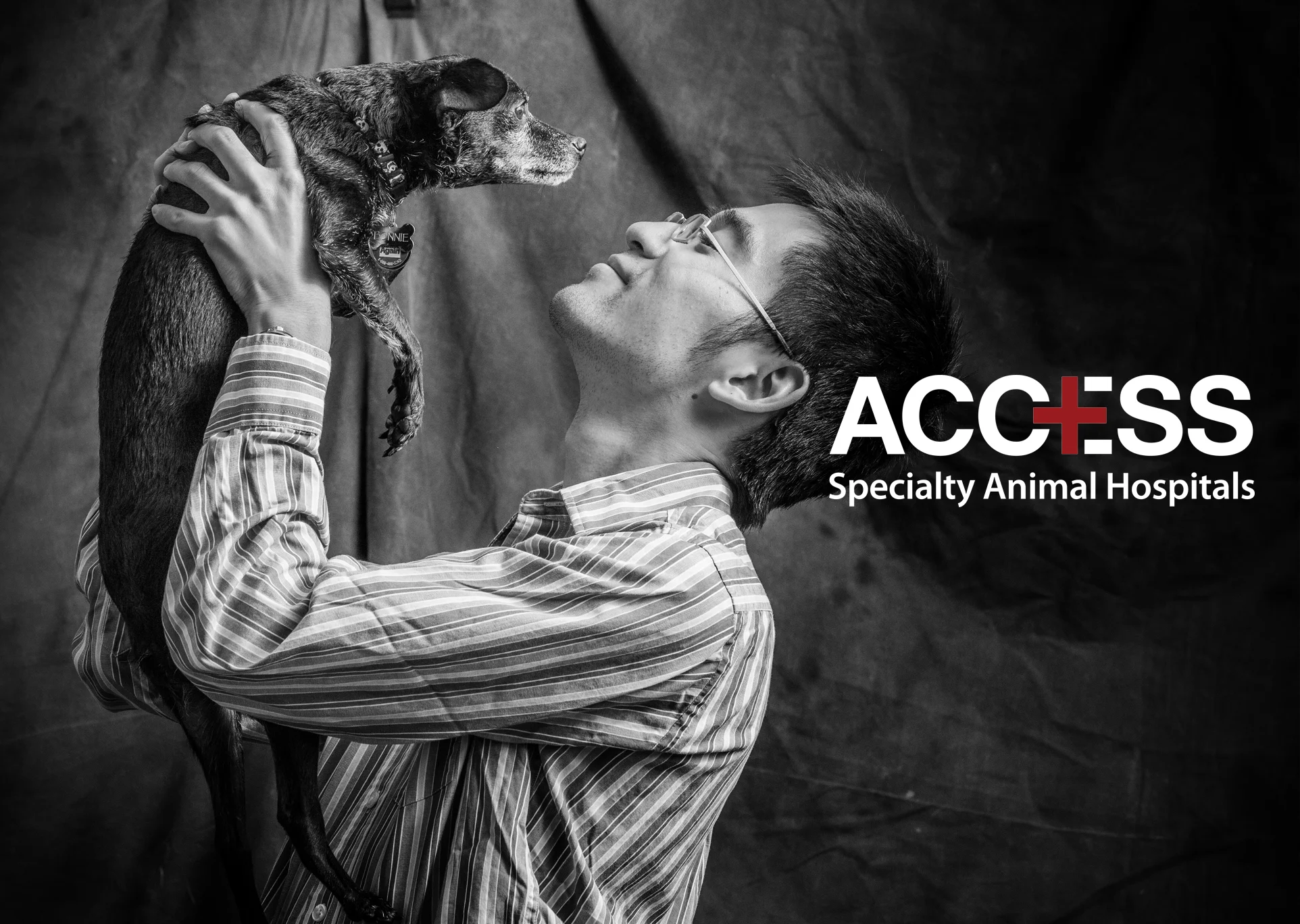 Commission: The Doctors of Access Animal Hospitals and their Pets