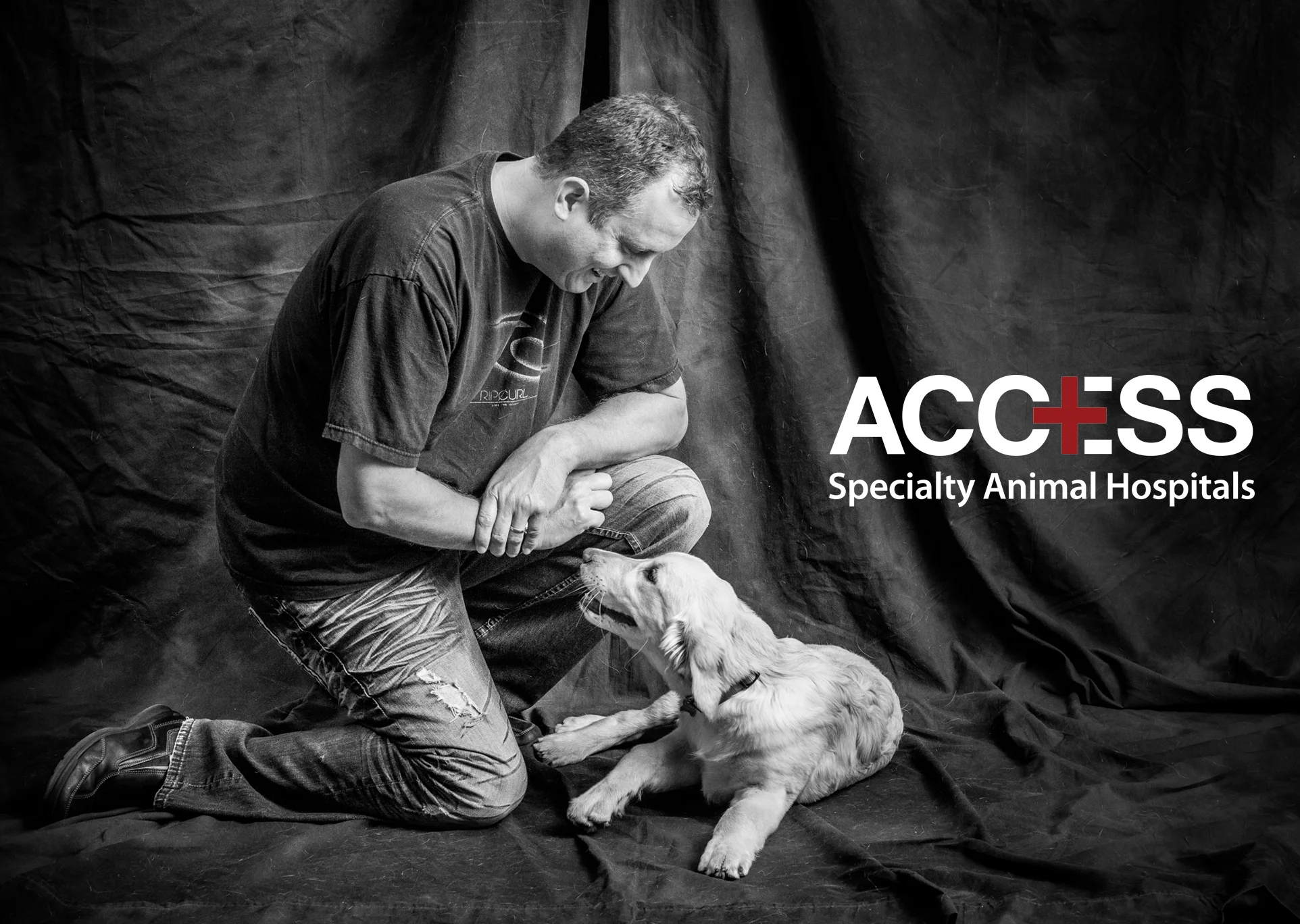 Commission: The Doctors of Access Animal Hospitals and their Pets