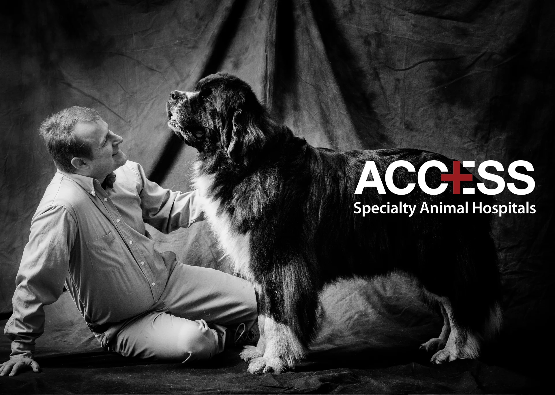 Commission: The Doctors of Access Animal Hospitals and their Pets