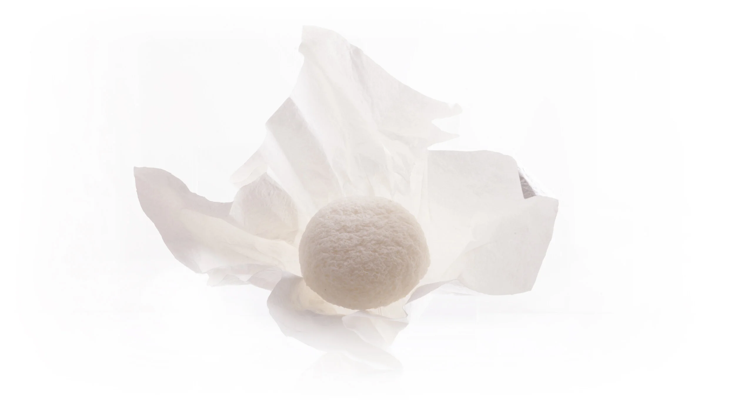 MAKANAI Cosmetics: Facial Sponge