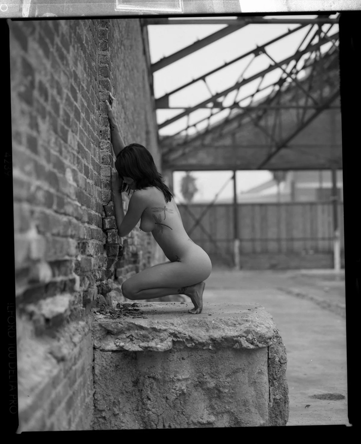 jasonclarkfoto_mel.jpg