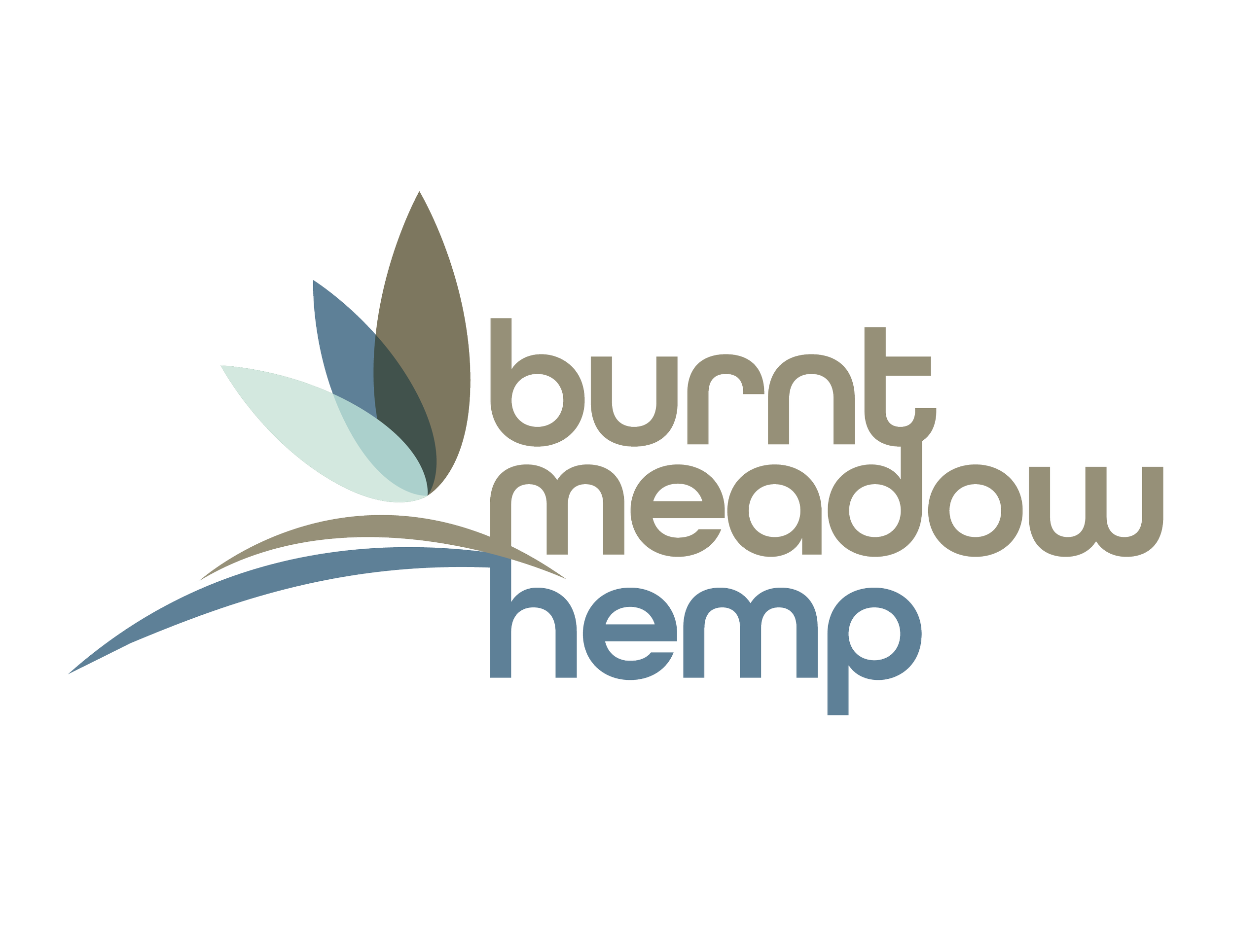 BURNT_MEADOW_HEMP_logo-03.png