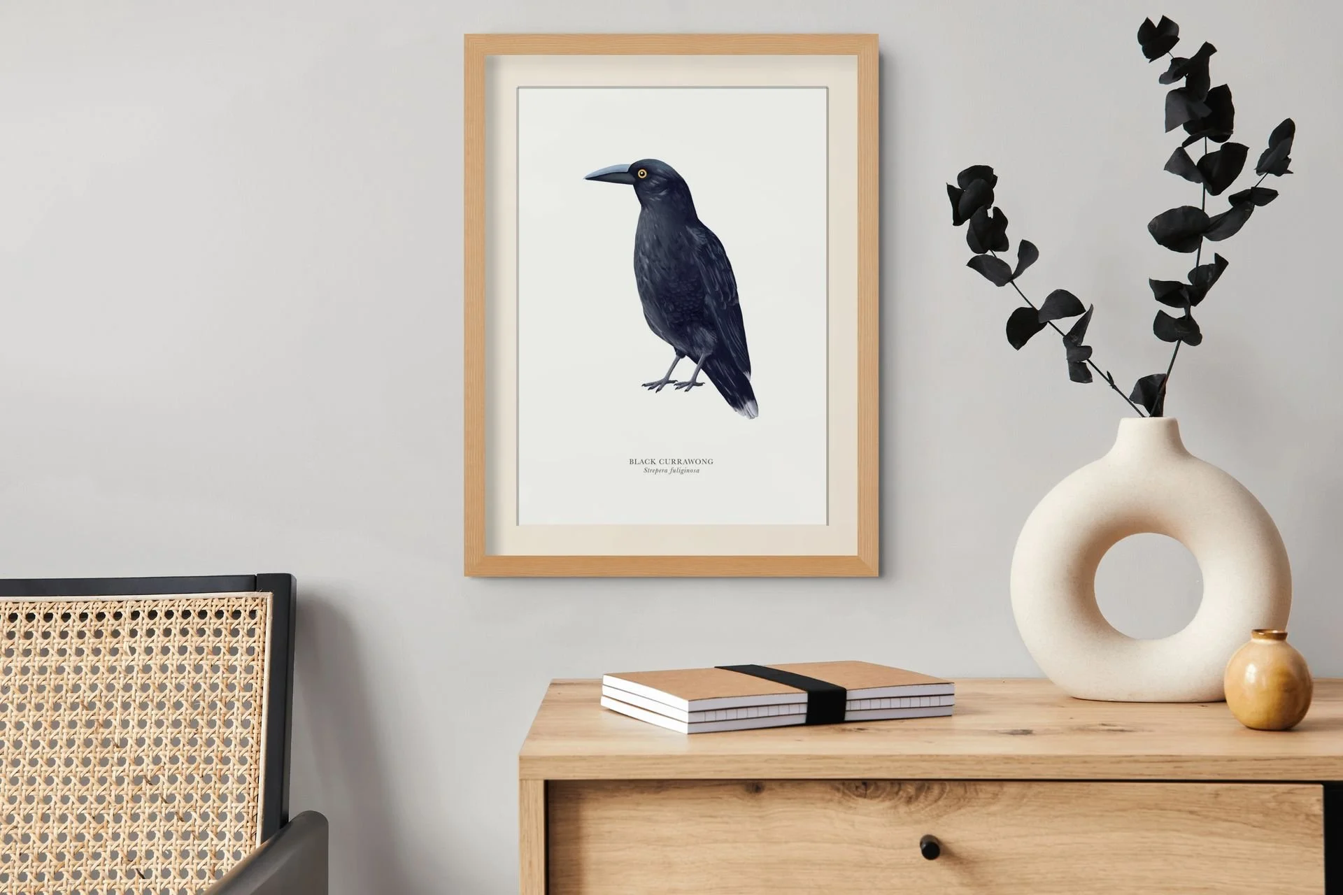 black_currawong_a3-medium.jpg