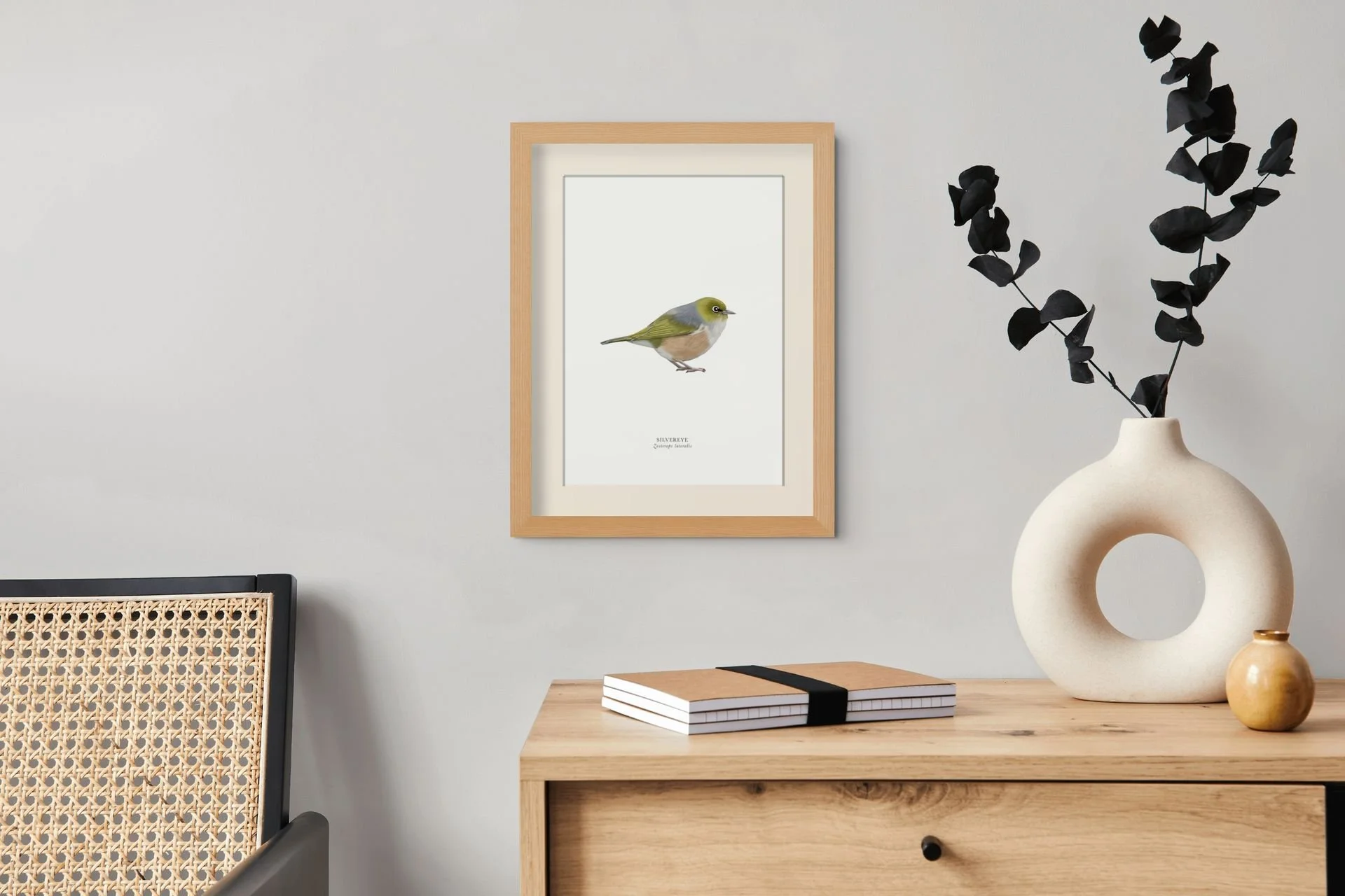 silvereye-medium.jpg
