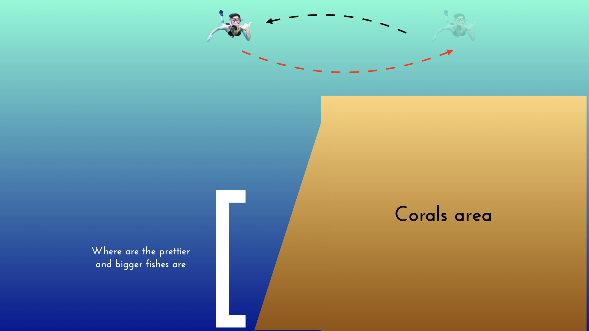 ximula sail holiday corals.jpeg