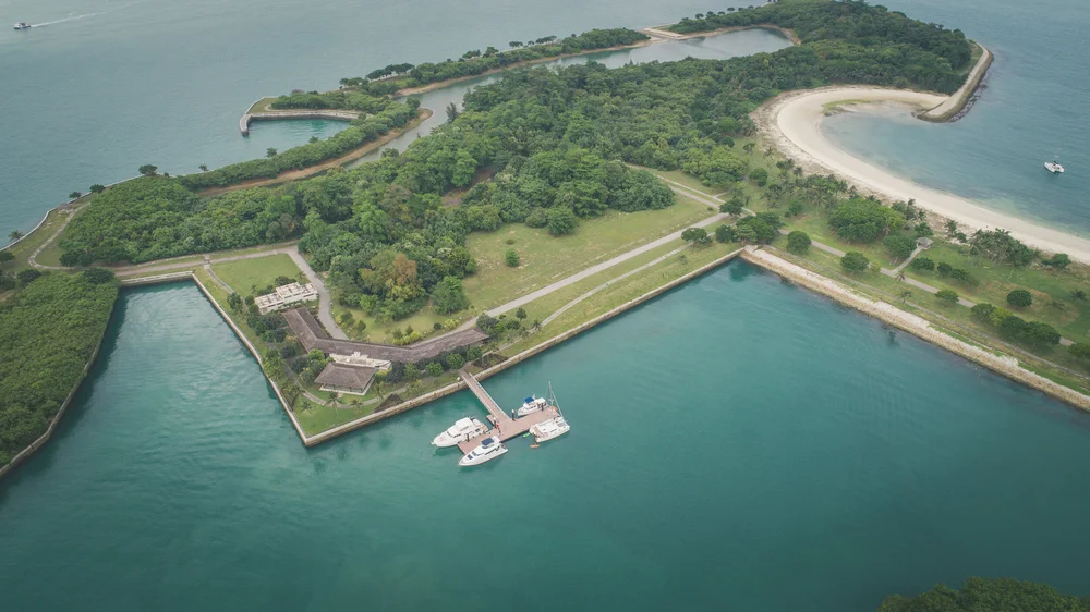 ximula cam2-1017.jpeg