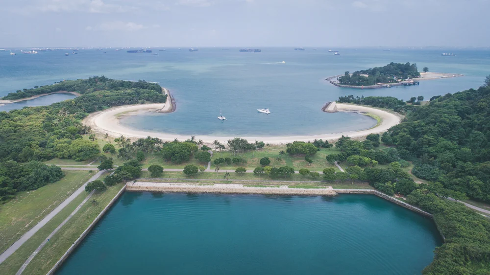 ximula cam2-1025.jpeg