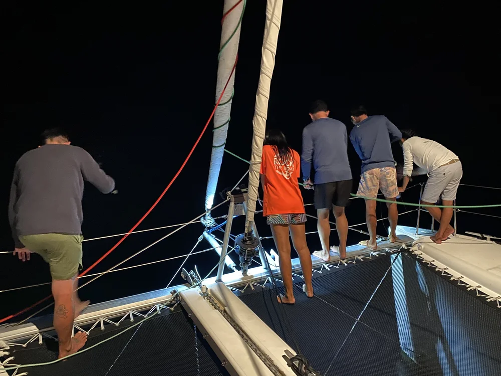 Looking for cuttlefish