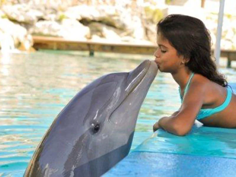 Dolphin-Encounter_3.jpg