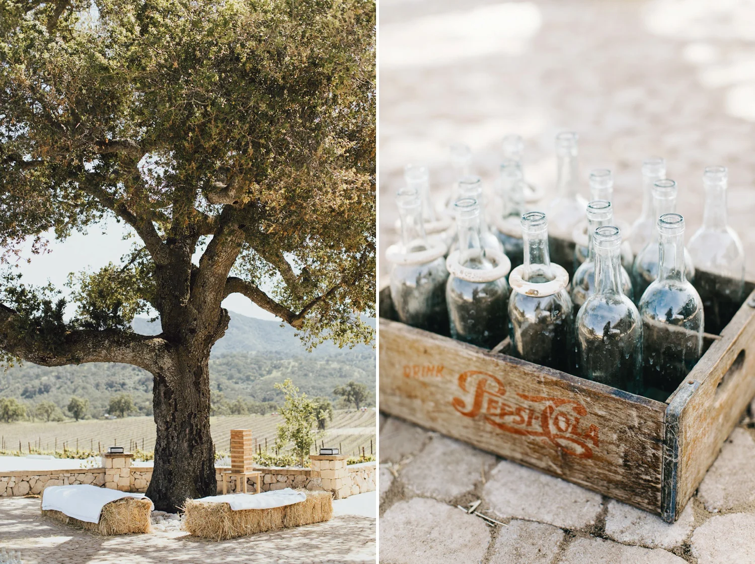 SanLuisObispo-Jessica+Vince-8158.jpg