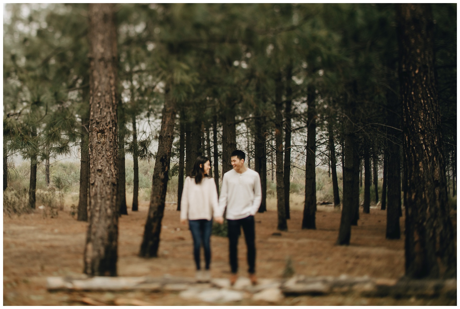 Los Angeles Forest Warm and Artistic Engagement Session-8969.jpg