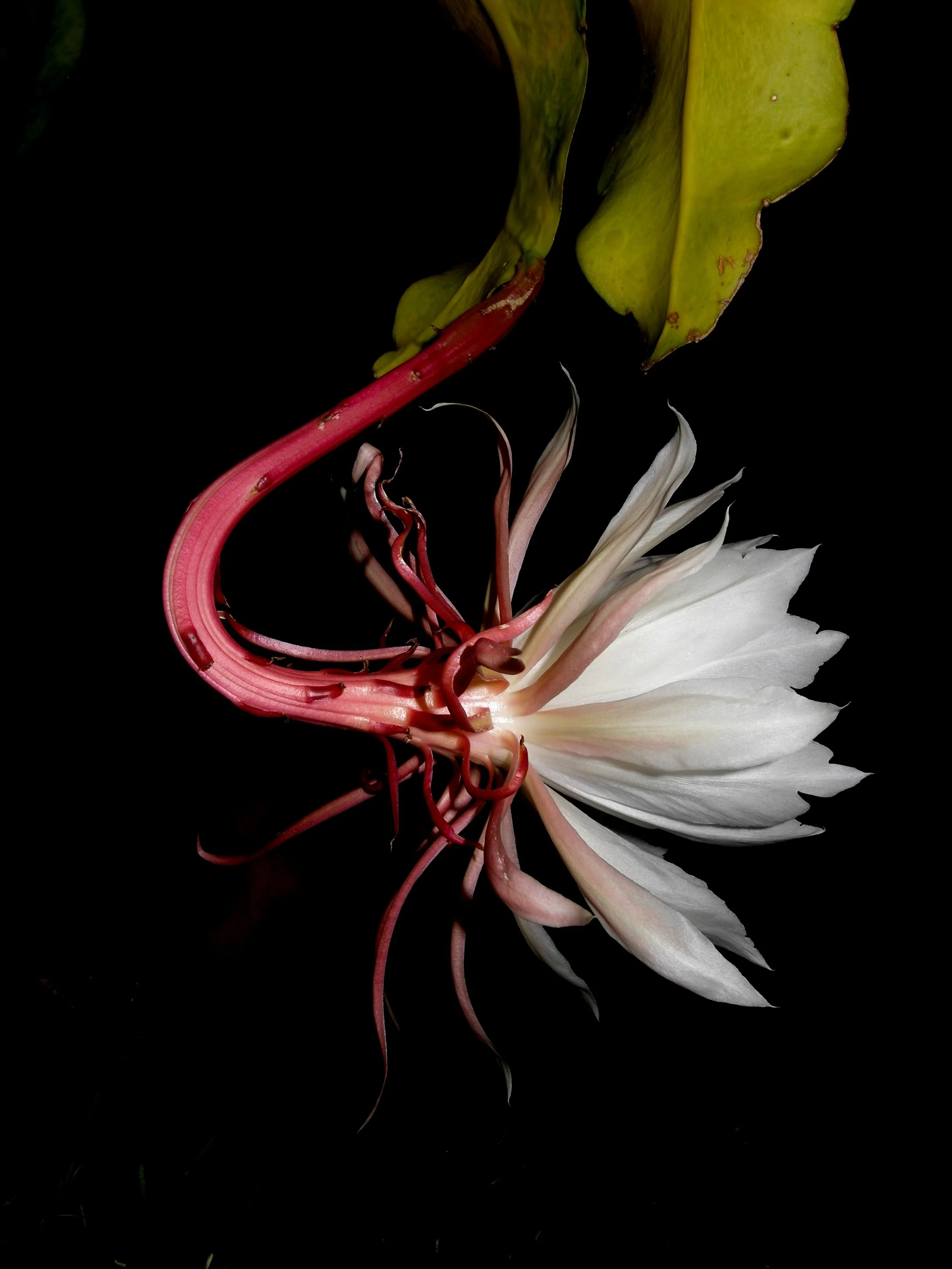 See Gallery on Facebook :o)