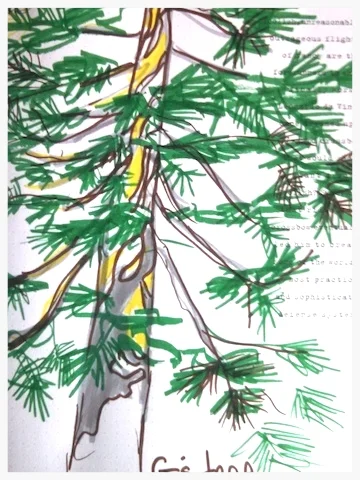 &nbsp; &nbsp; &nbsp; &nbsp; &nbsp; &nbsp; &nbsp; &nbsp; &nbsp; &nbsp; &nbsp; &nbsp; &nbsp; &nbsp; &nbsp; &nbsp; &nbsp; &nbsp; &nbsp; &nbsp; &nbsp; &nbsp; &nbsp; &nbsp; &nbsp; &nbsp; &nbsp; &nbsp; G's Tree, Lake Tahoe Retreat, 2014