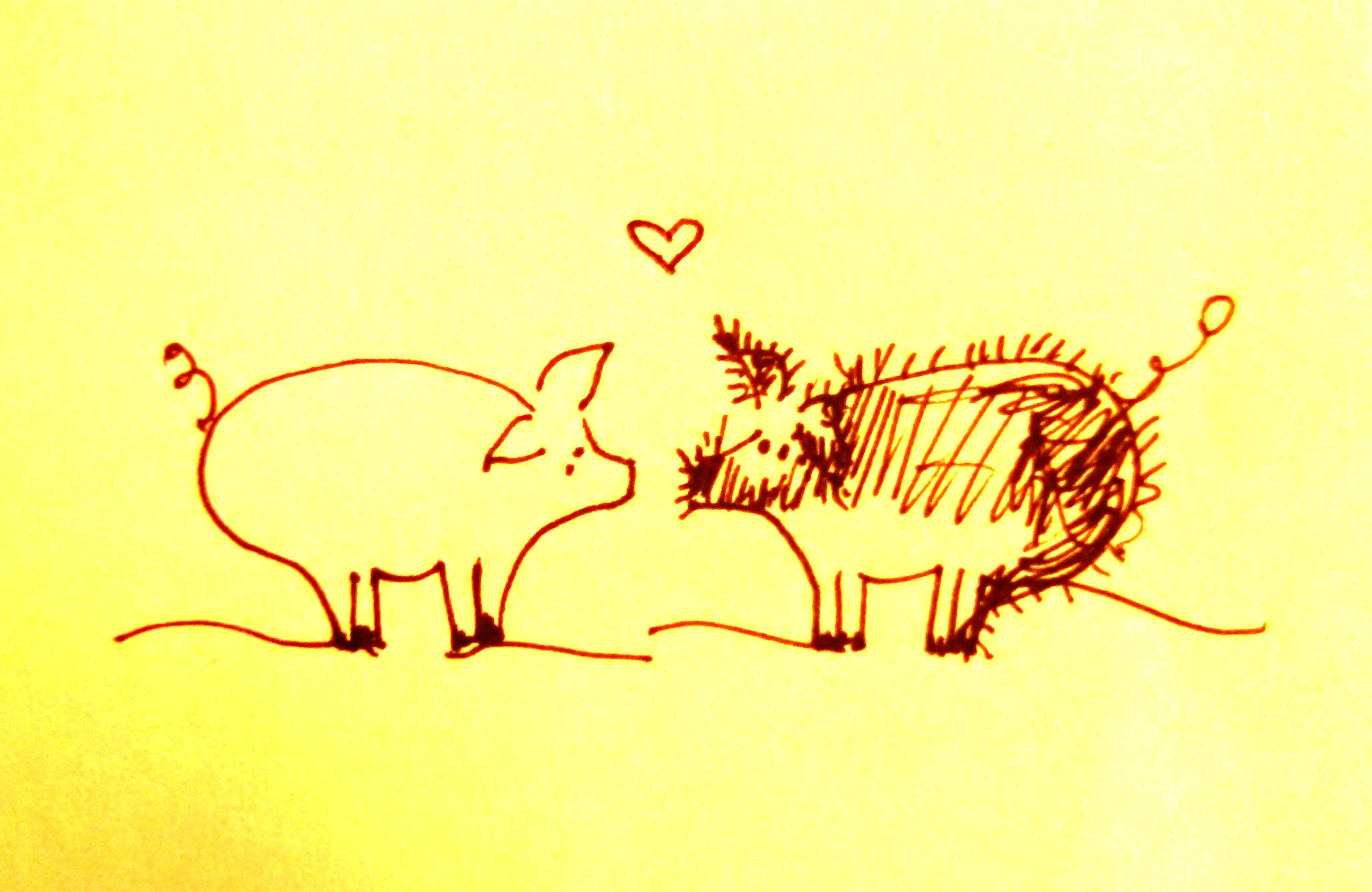 pigs.jpg