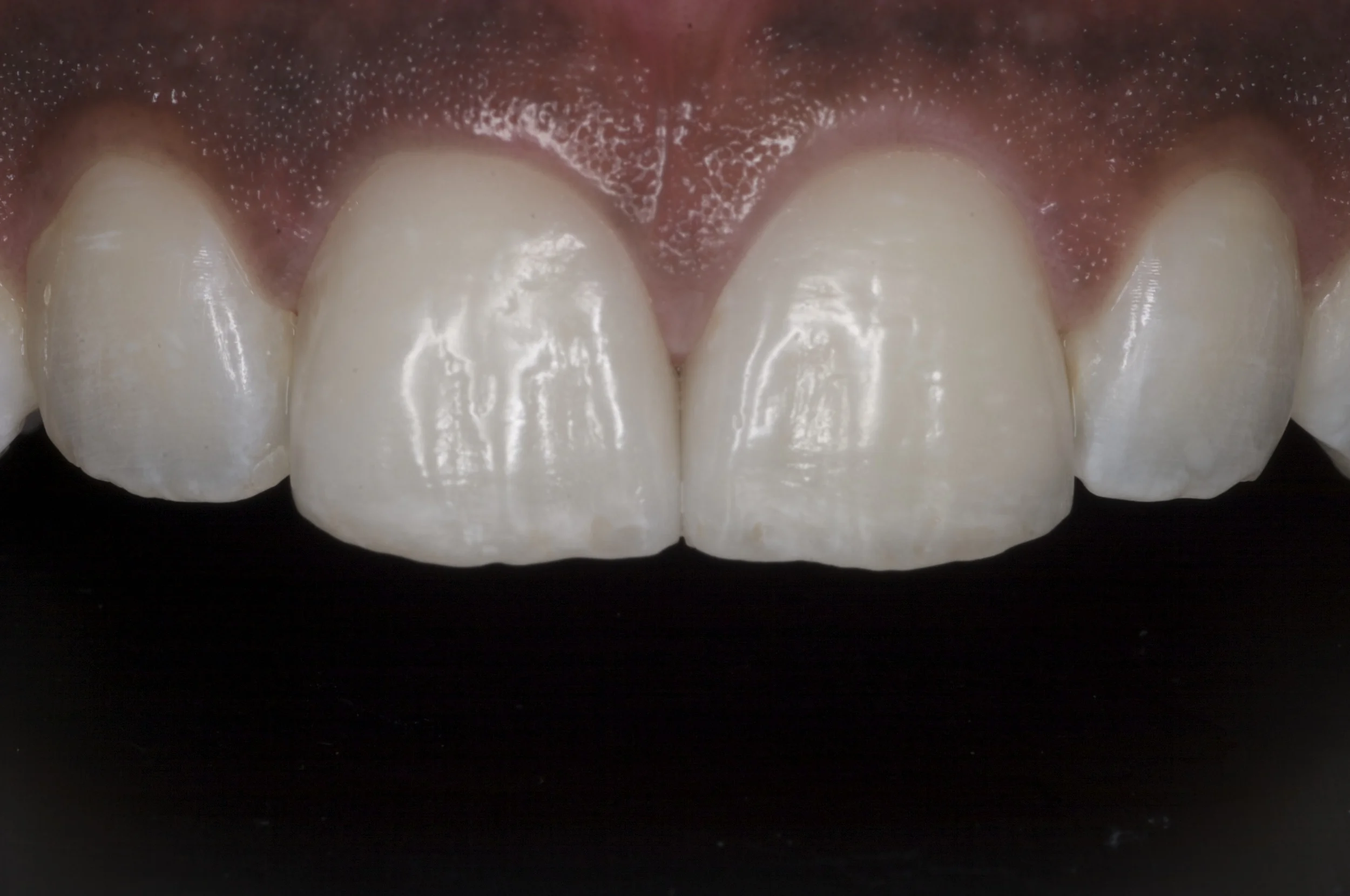 CRW_5379.jpg