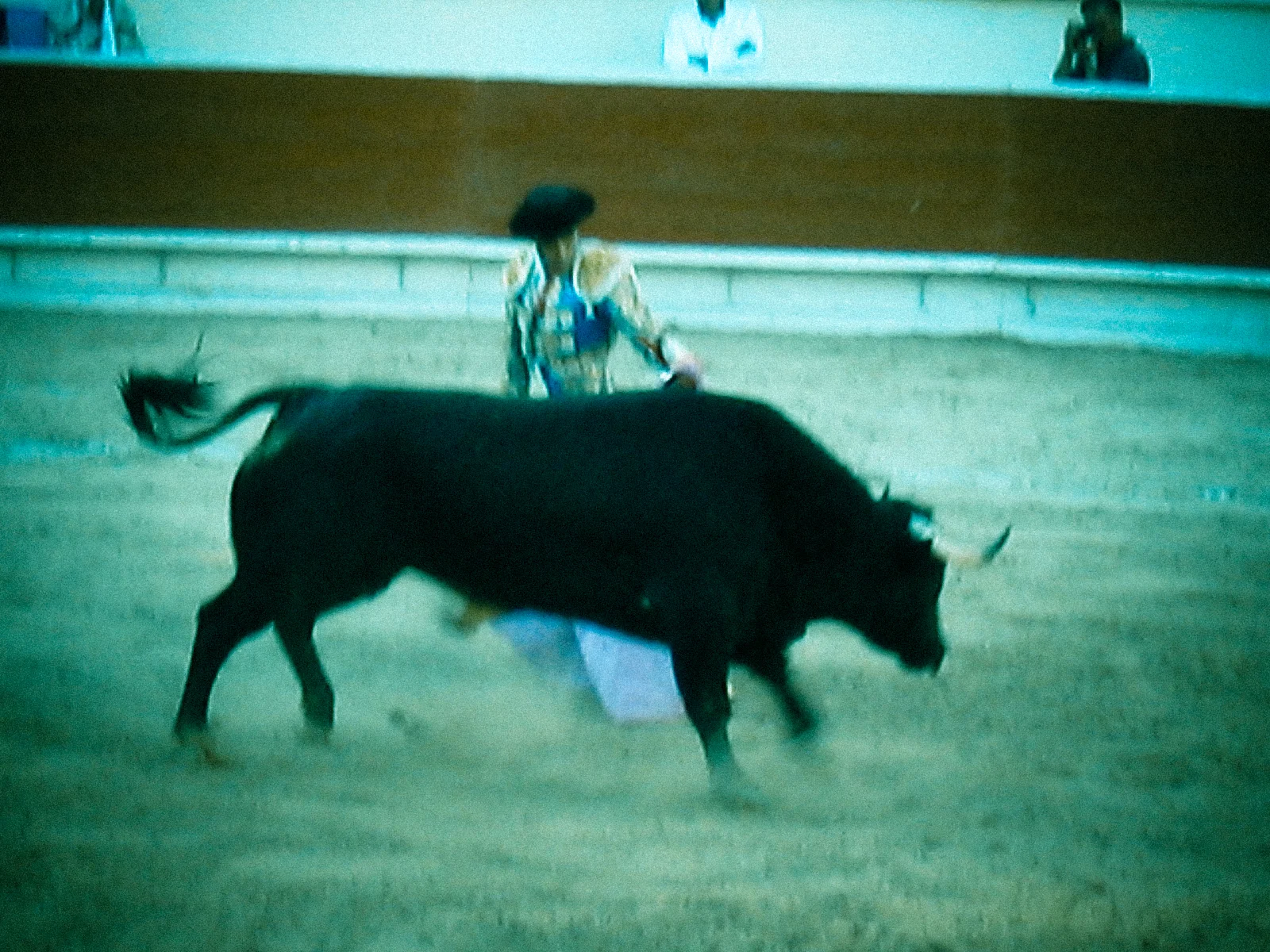 IMG_1603.jpg