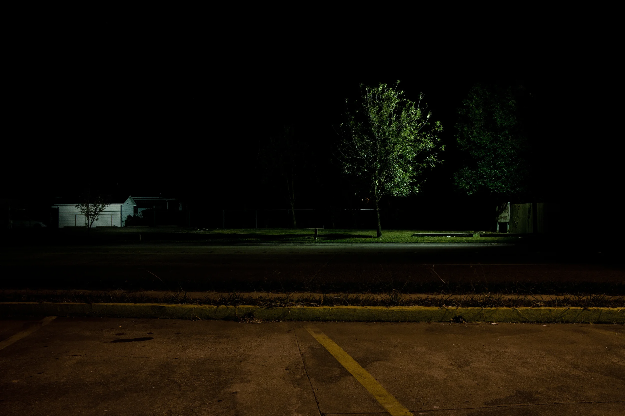 _MG_6025.jpg