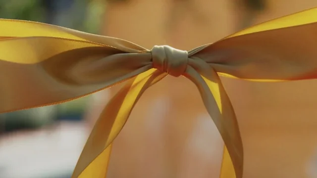 依蓁 豐禧 婚禮精華版