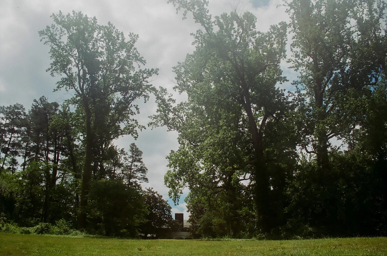70530015.jpg