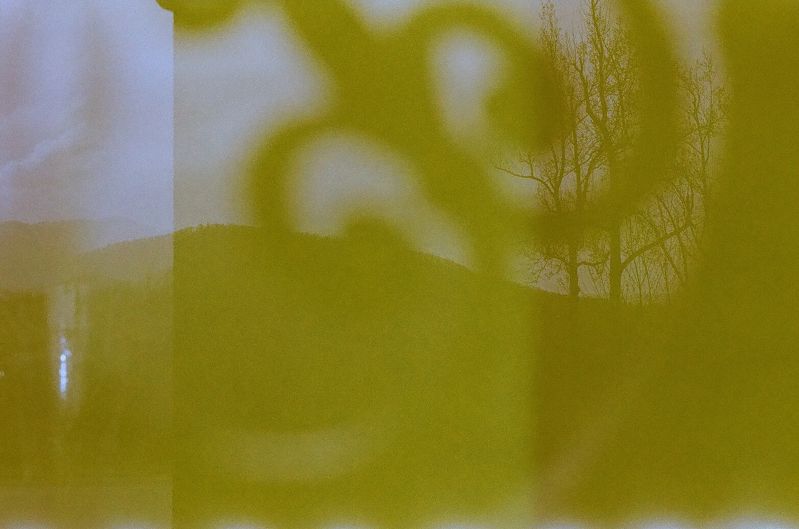 70550010.jpg