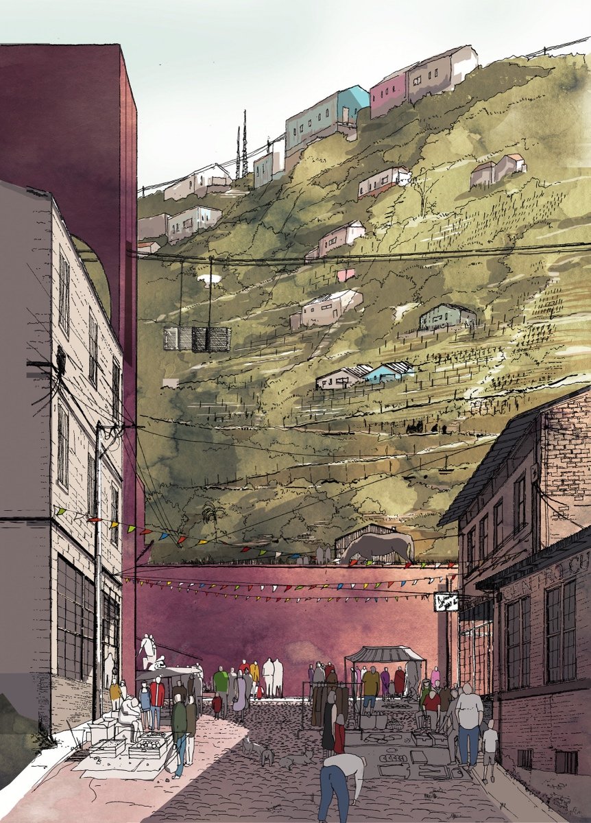 Quebrada Jaime 的生活风景（The Living Landscape of Quebrada Jaime）
