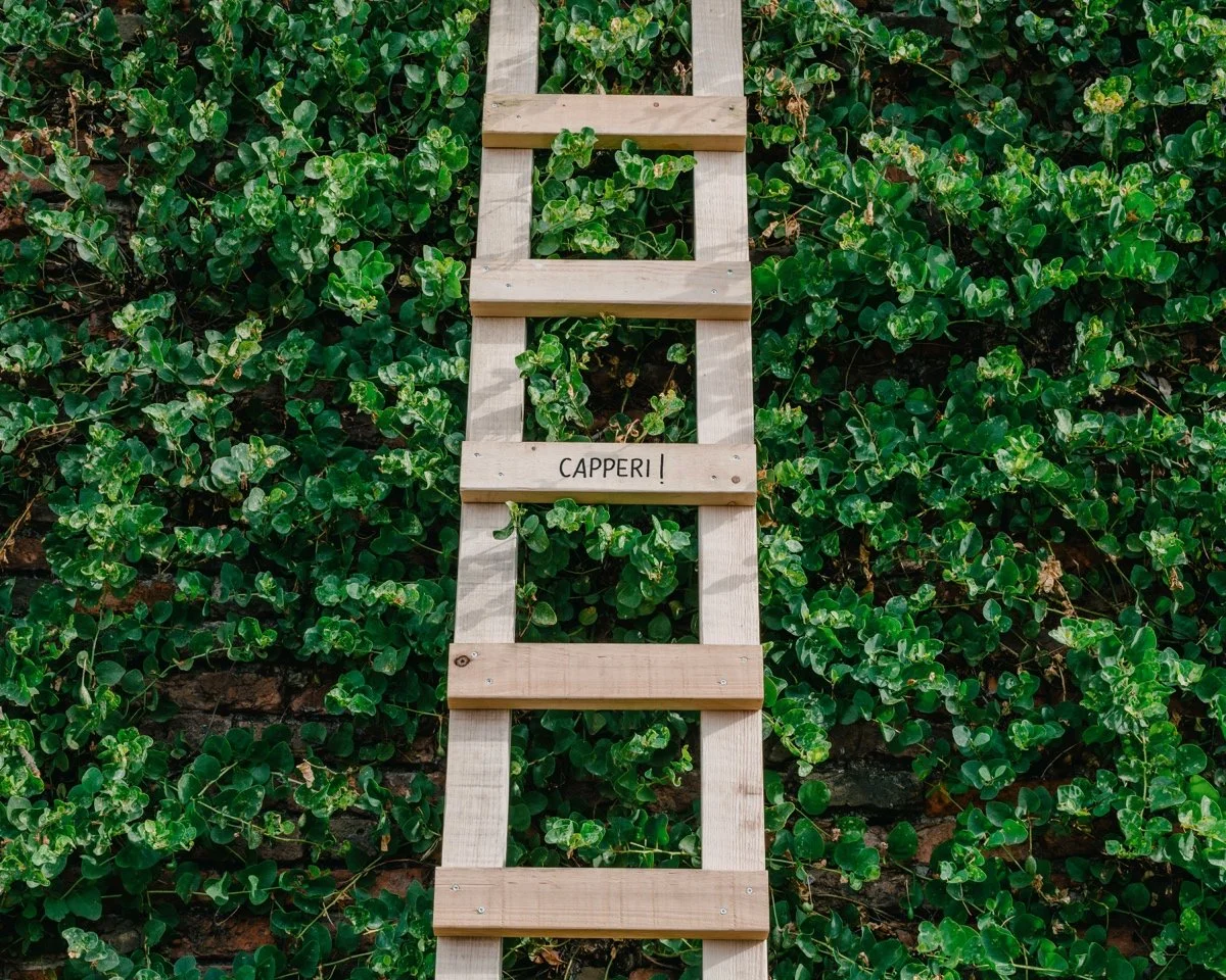 LuOgo – 构筑共享空间（LuOgo – Building the common space）