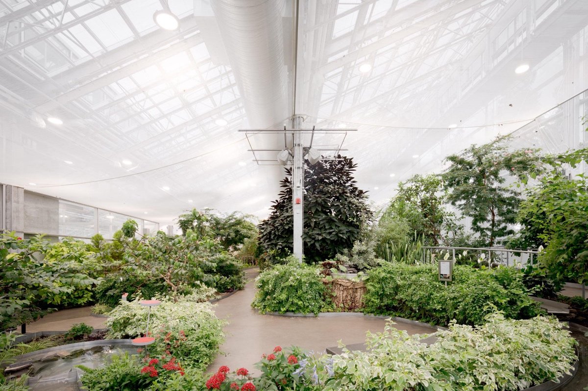 蒙特利尔昆虫馆（Insectarium Montréal）