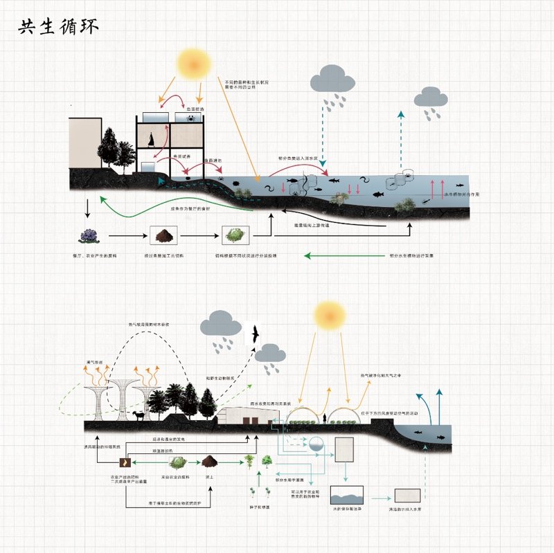 共生视角下的南京八卦洲生产性景观改造设计