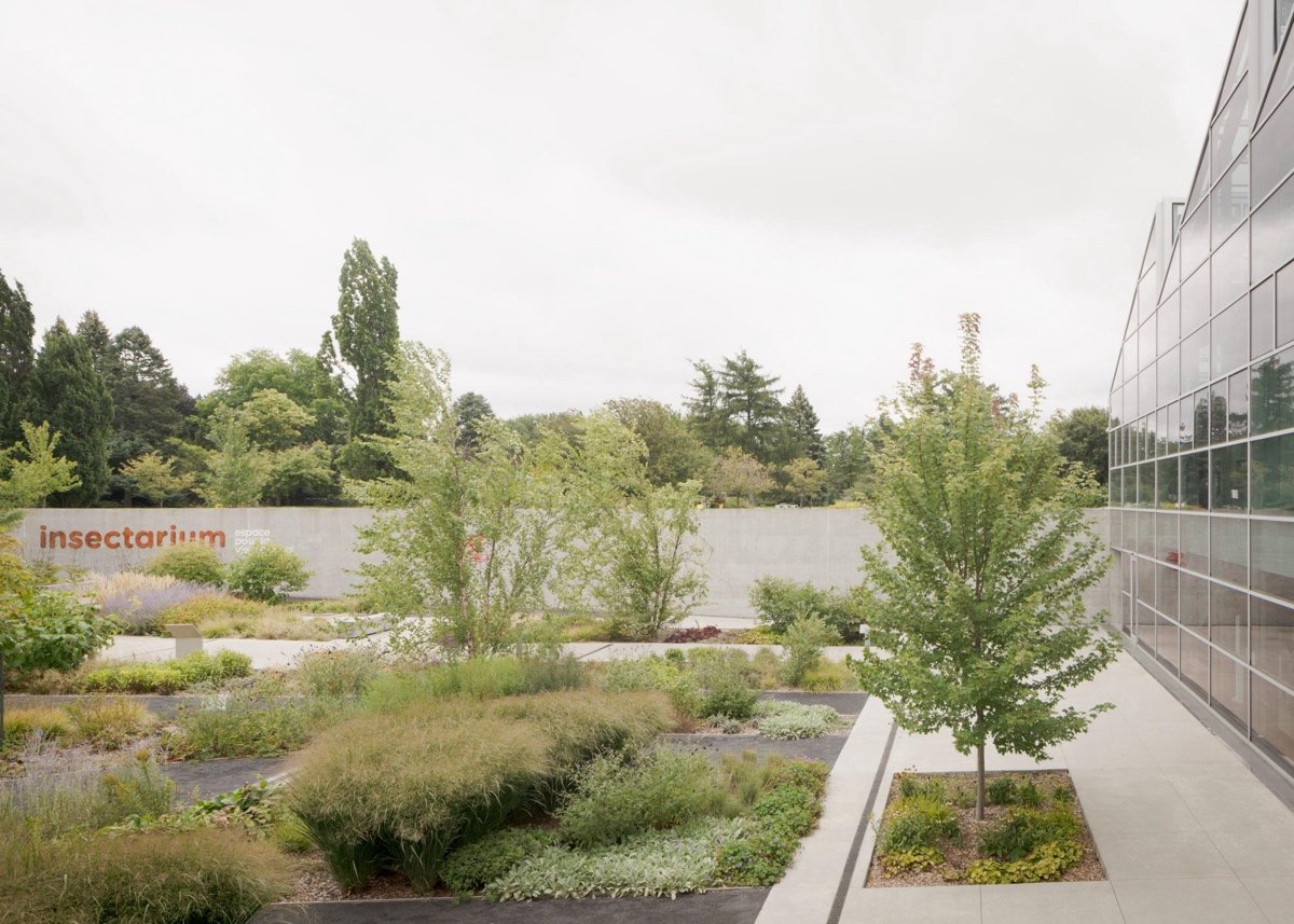 蒙特利尔昆虫馆（Insectarium Montréal）