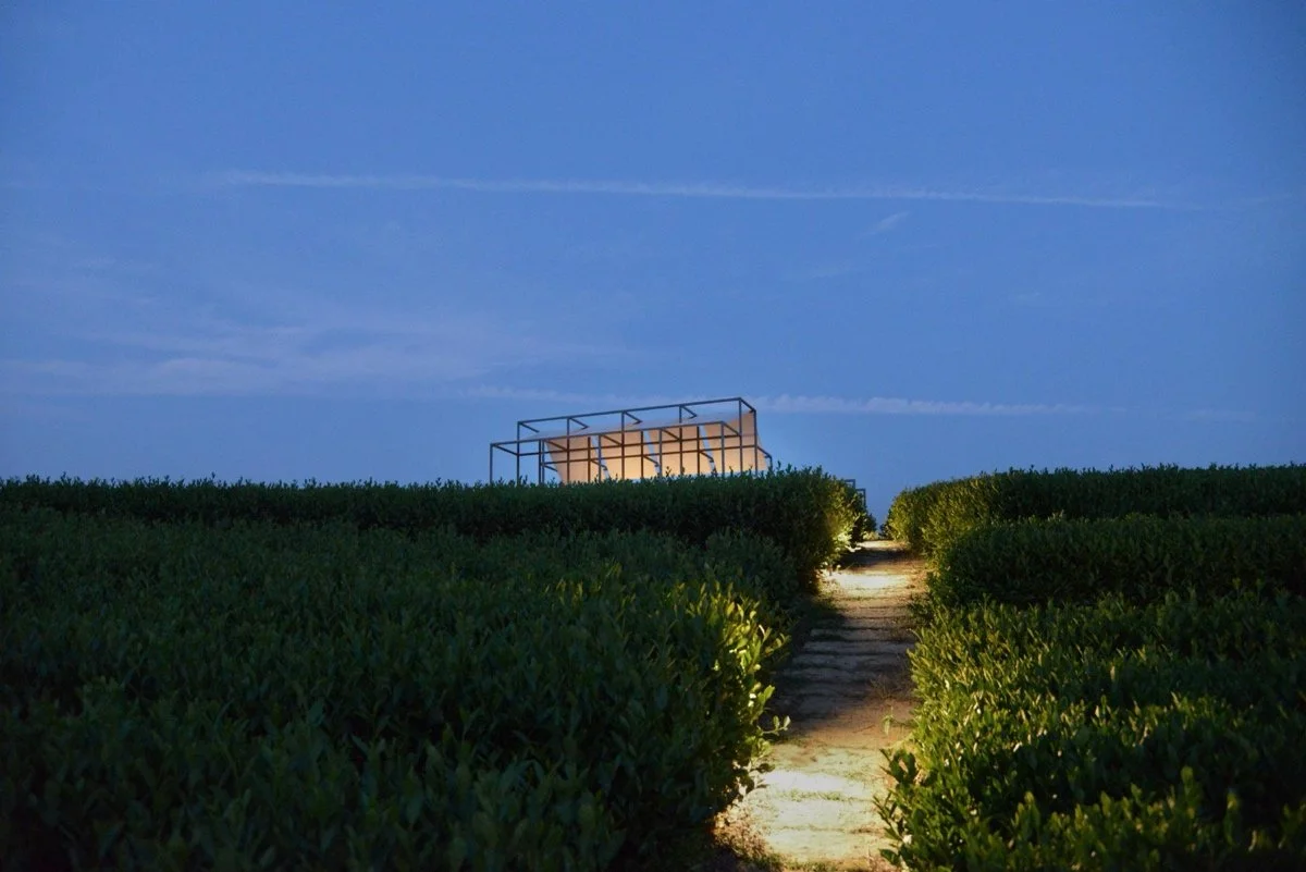 茶山浮亭（A Floating Pavilion On A Tea Mountain）