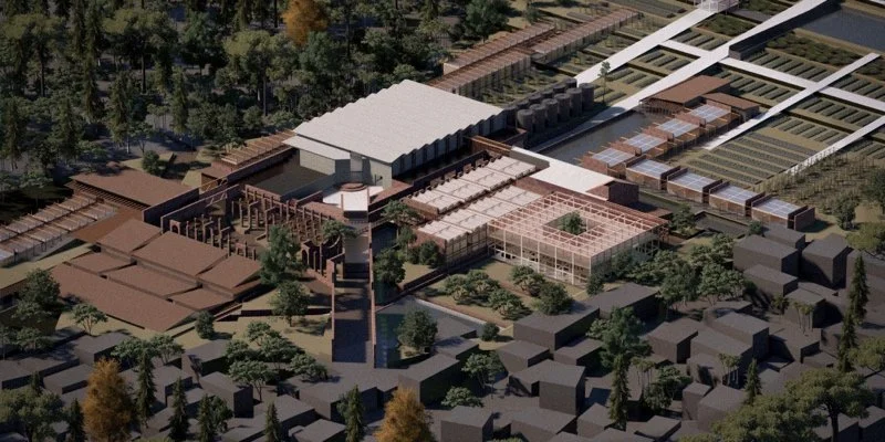 人类发展中心和难民食品银行