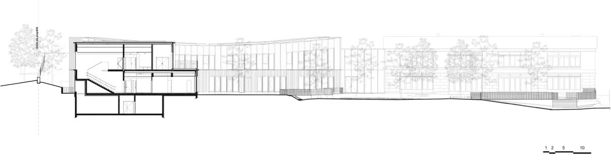 紫罗兰学校集团（Les Violettes school group）