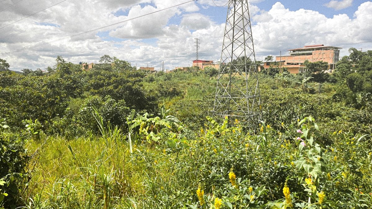 生态图书馆：两百周年文化公园（ECO-TECA - Parque Cultural Bicentenario）