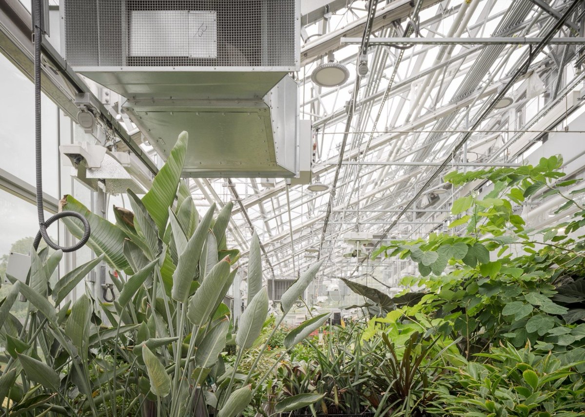 蒙特利尔昆虫馆（Insectarium Montréal）