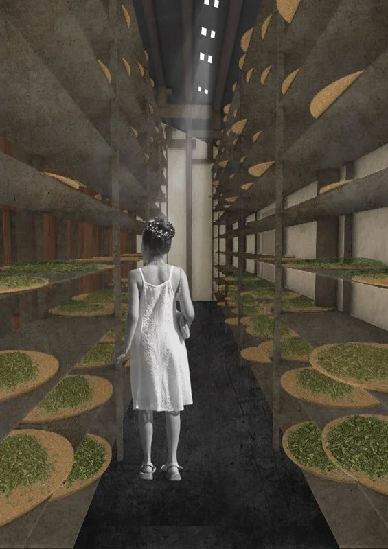 茶文化背景下的乡村生产生活空间——磻溪村老茶号新干预