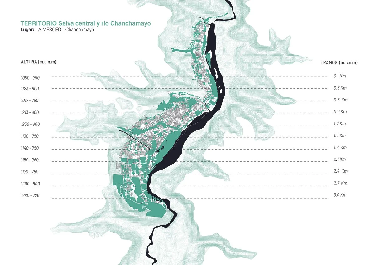位于胡宁省钱查马约省拉梅尔塞德的咖啡生产创新中心（Centro de Innovación para la producción de café en la Merced , Chanchamayo – Junín）