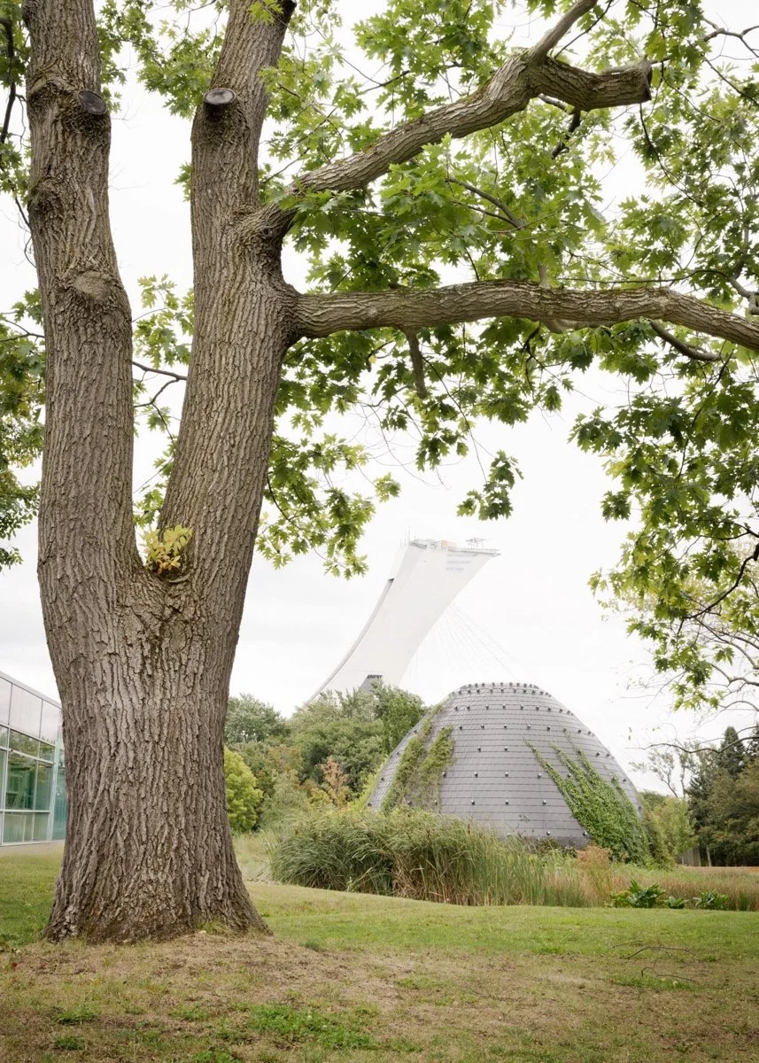 蒙特利尔昆虫馆（Insectarium Montréal）