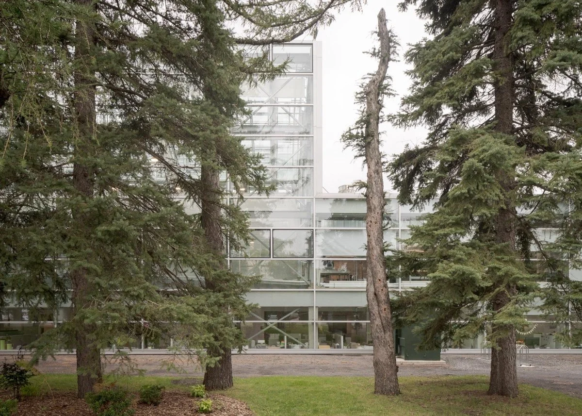 蒙特利尔昆虫馆（Insectarium Montréal）