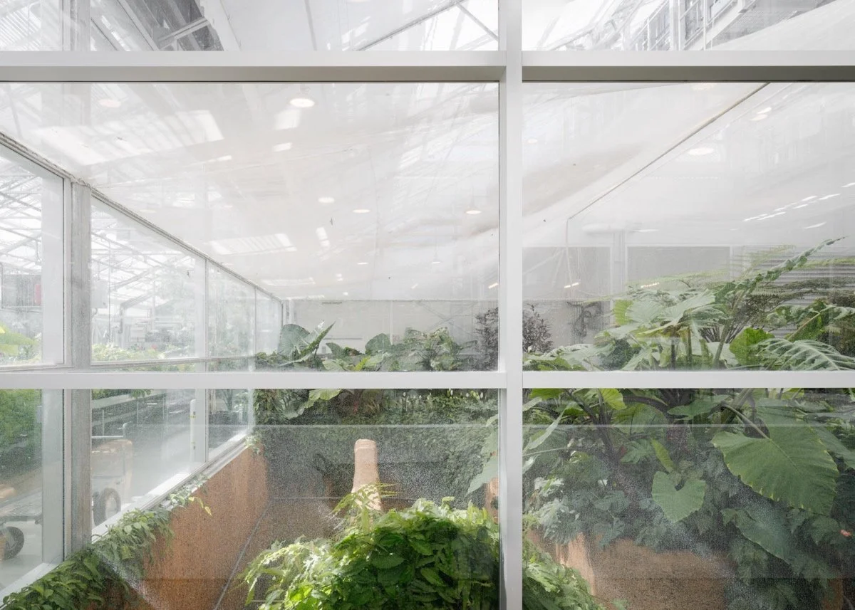 蒙特利尔昆虫馆（Insectarium Montréal）