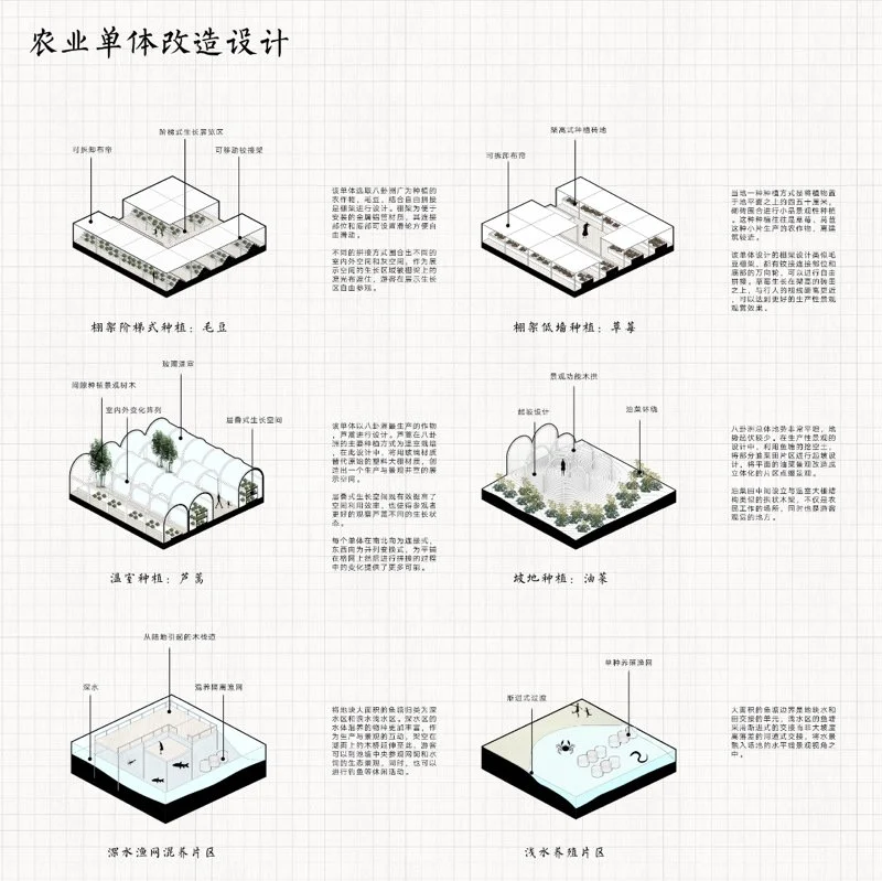 共生视角下的南京八卦洲生产性景观改造设计