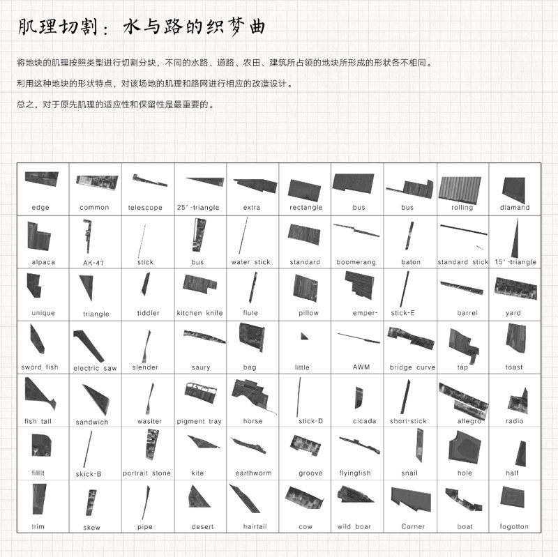共生视角下的南京八卦洲生产性景观改造设计