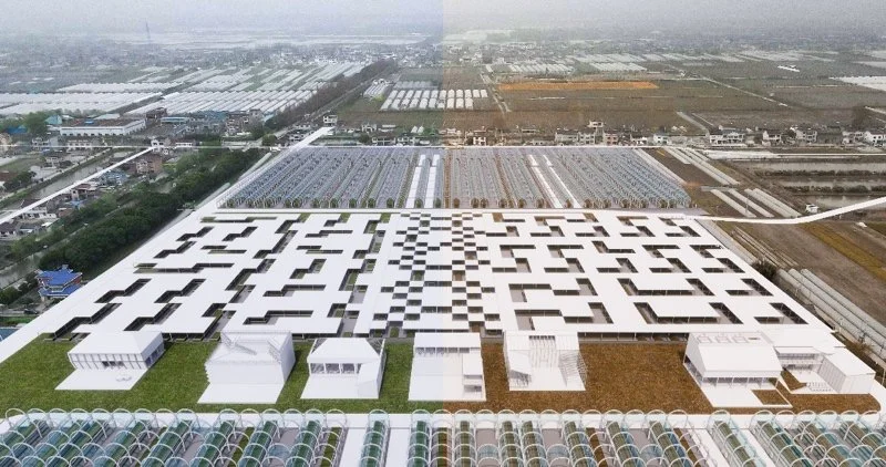 在城市边缘种一座岛｜八卦洲生产性景观再设计