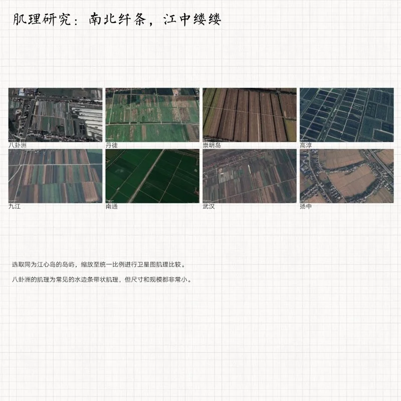 共生视角下的南京八卦洲生产性景观改造设计