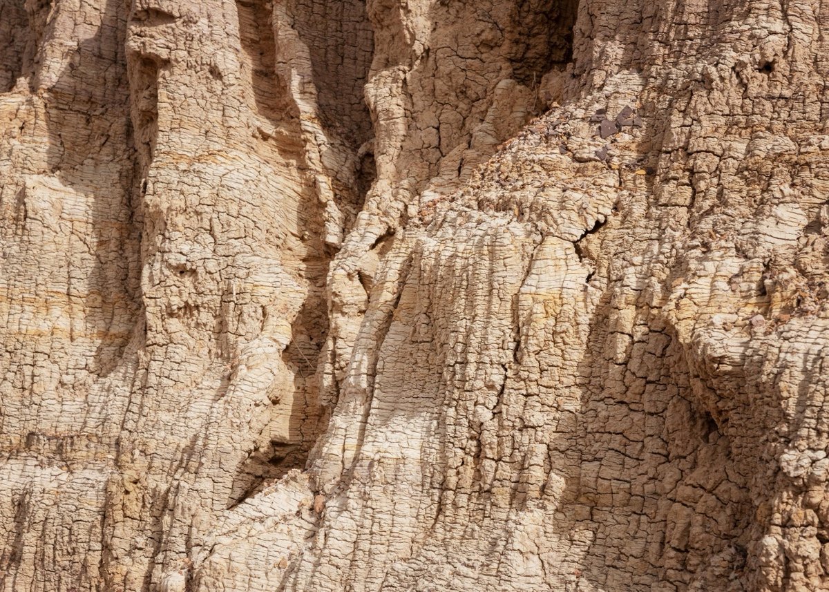 达喀尔谢赫·安塔·迪奥普大学宿舍营地（UNIVERSITY OF DAKAR CHEIKH ANTA DIOP HOUSING CAMPUS）
