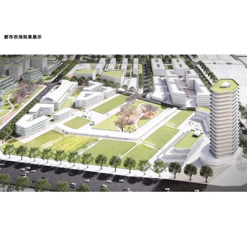 绿野弥城，智“汇”湖畔——隆平片区核心区城市设计；基于生态低碳理念下的产学研一体化城市设计