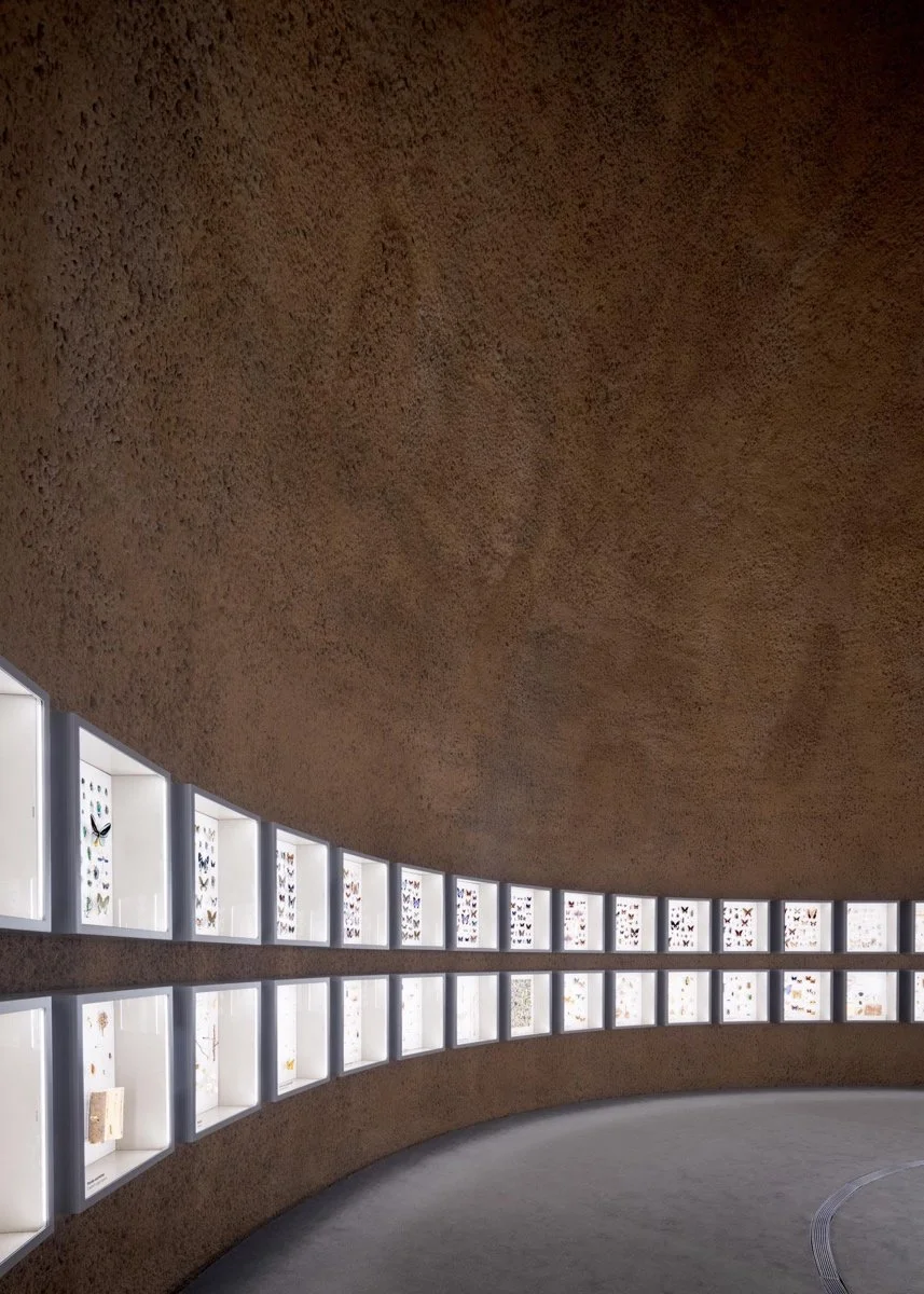 蒙特利尔昆虫馆（Insectarium Montréal）