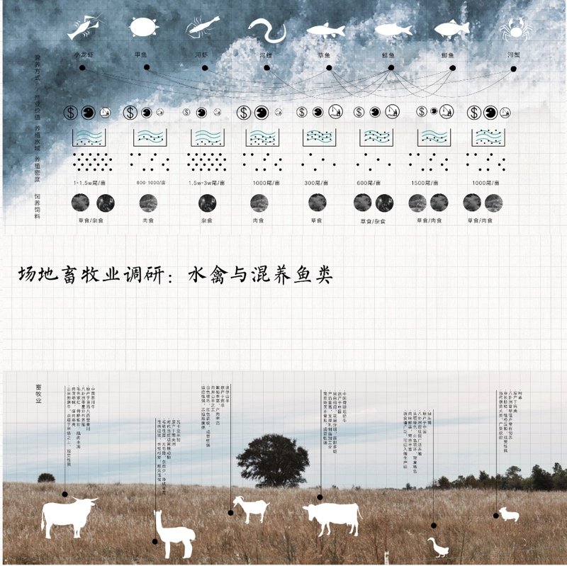 共生视角下的南京八卦洲生产性景观改造设计