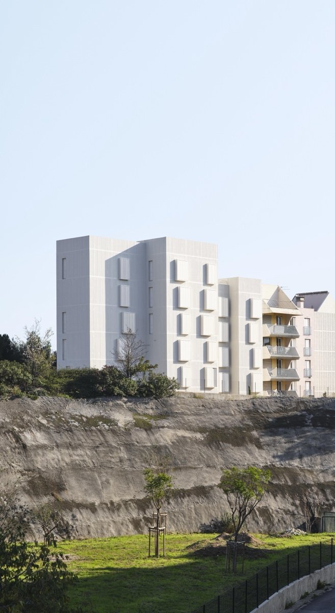 Les Cyprès