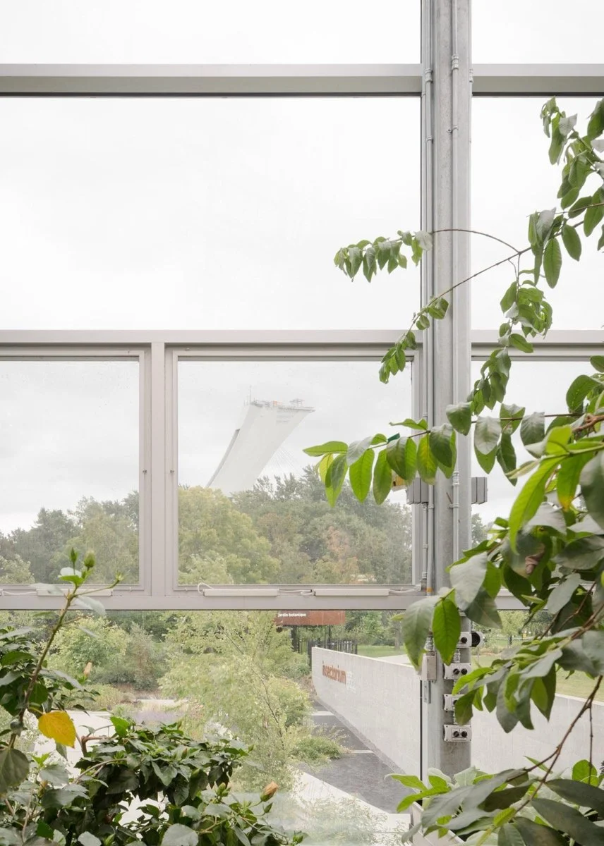 蒙特利尔昆虫馆（Insectarium Montréal）